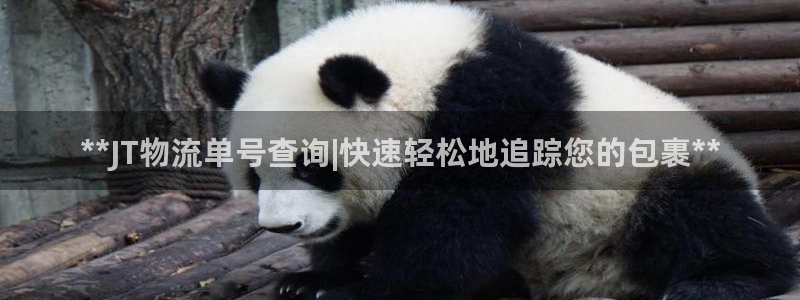 28圈登录用户名登录不上：**JT物