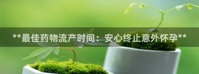 28圈比特28预测在线预测：**最佳
