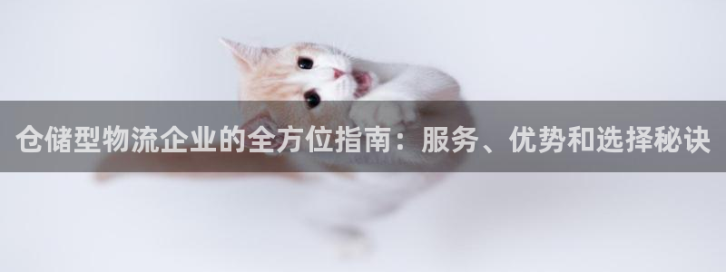 28圈游戏