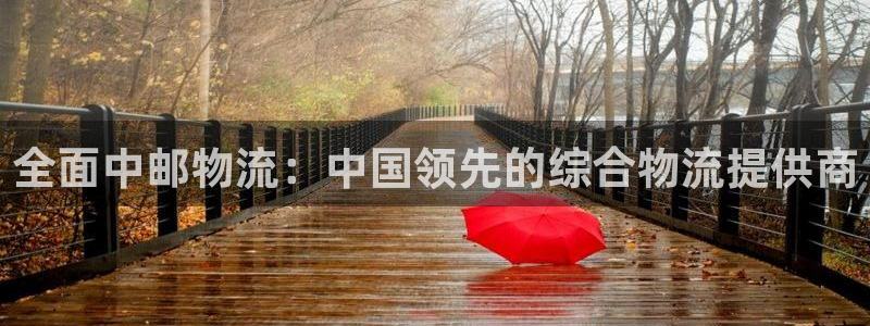28圈app怎么注册账号：全面中邮物