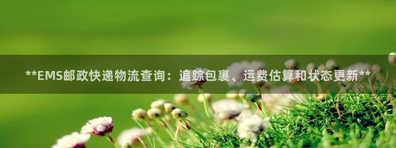 南宫28圈官网版：**EMS邮政快递