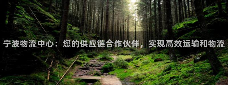 28圈昵称