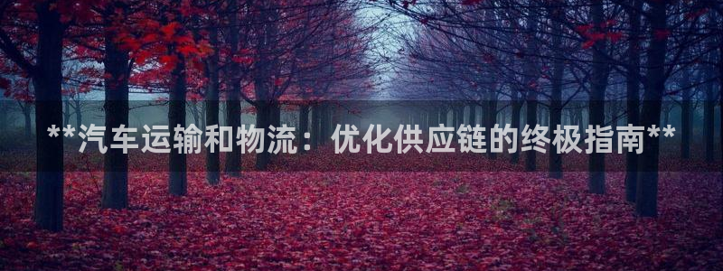 28圈模拟器在线使用：**汽车运输和