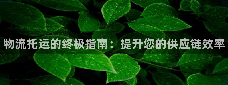 28圈圈：物流托运的终极指南：提升您