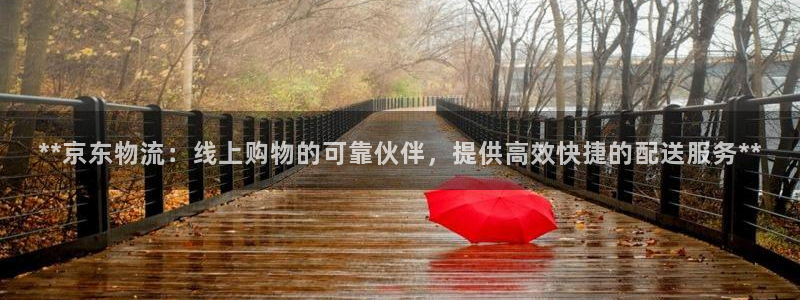 28圈官方版正版
