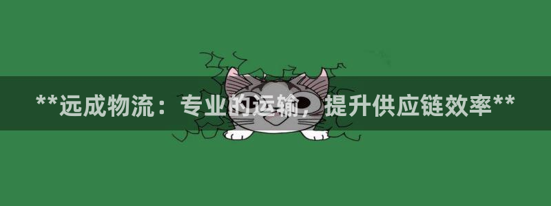 28圈充值方式：**远成物流：专业的
