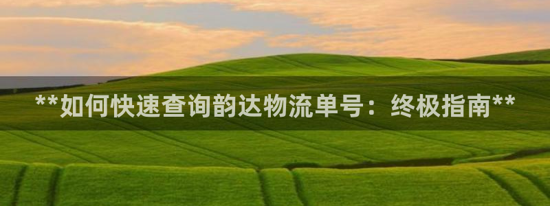 28圈返水怎么算的