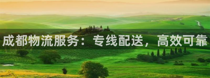 28圈官方网站预测