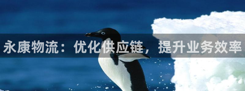 28圈aPP退款