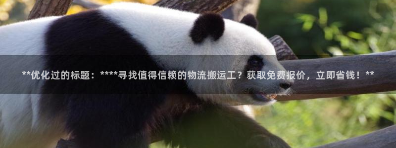 28圈怎么下载不了