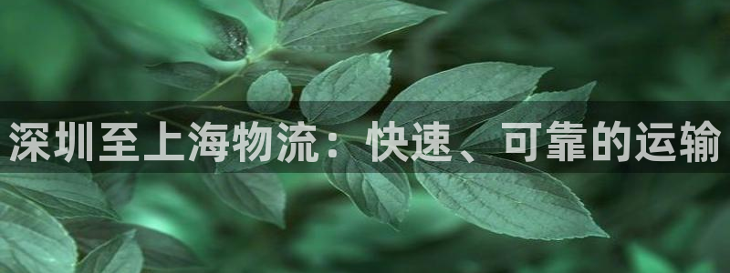 28圈能提现吗