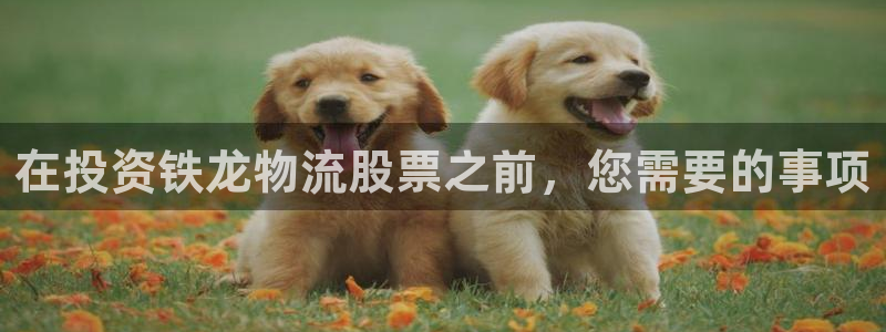 28圈黑吗