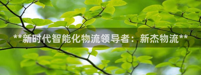 28圈在线预测官网
