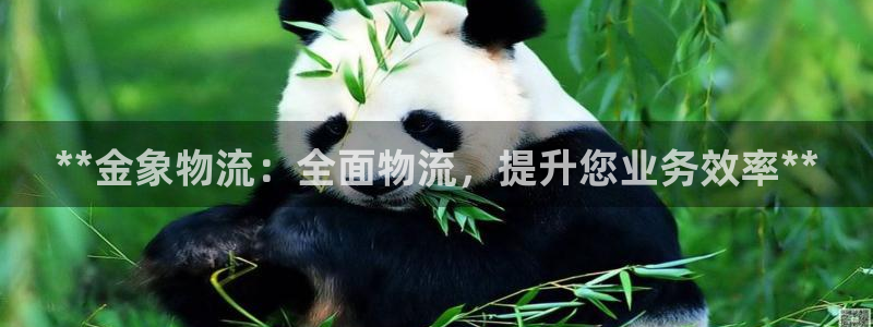 28圈激活码
