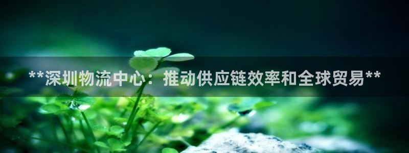 28圈流水怎么算