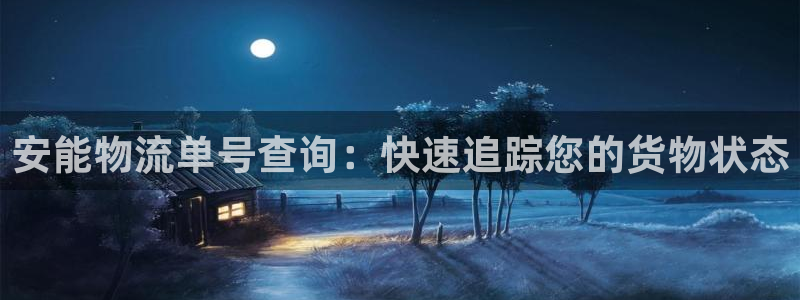 28圈是啥：安能物流单号查询：快速追