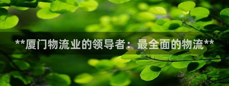 28圈不给提现：**厦门物流业的领导