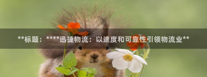 28圈反水