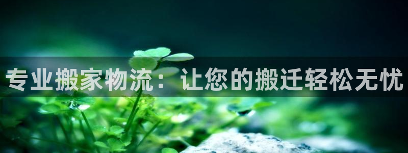 28圈免费：专业搬家物流：让您的搬迁