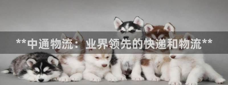 28圈.ccm官网