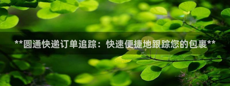28圈游戏官网入口