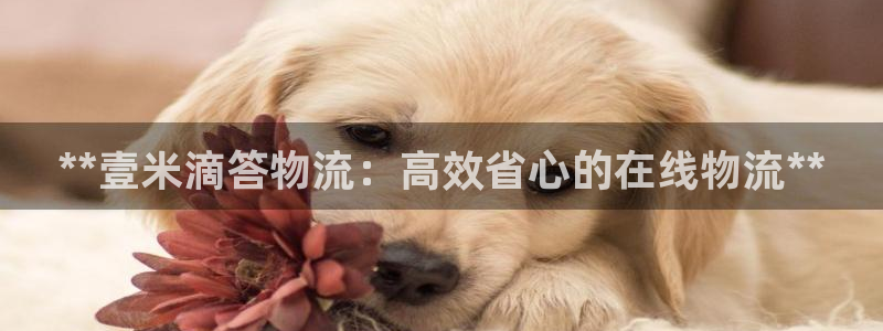 28圈预测