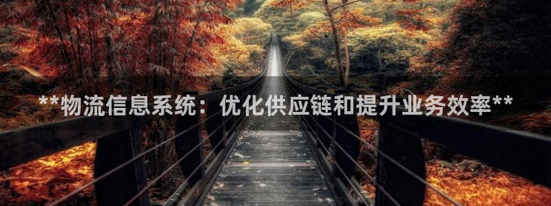 28圈加拿大6.0