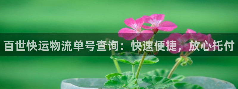28圈娱乐官网网页