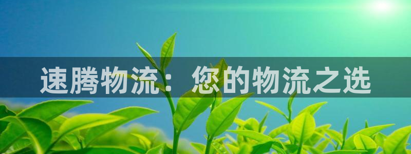 28圈官方网站是多少