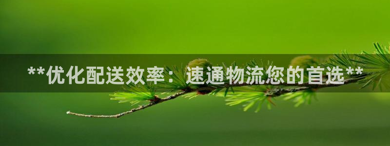 28圈登录：**优化配送效率：速通物