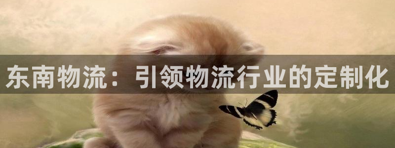 28圈.ccm官网：东南物流：引领物
