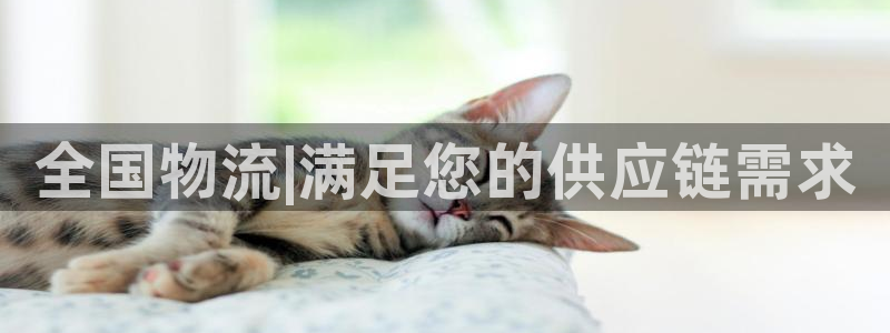 28圈是正规平台吗：全国物流|满足您