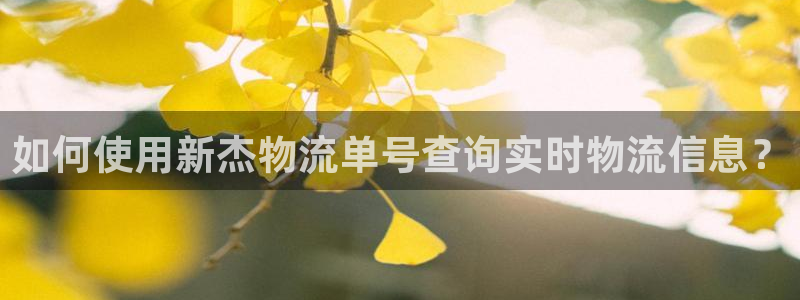 28圈怎么注册账号和密码：如何使用新