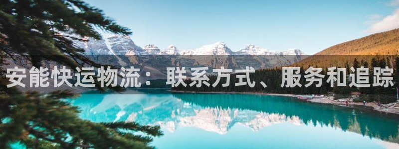28圈黑平台吗：安能快运物流：联系方