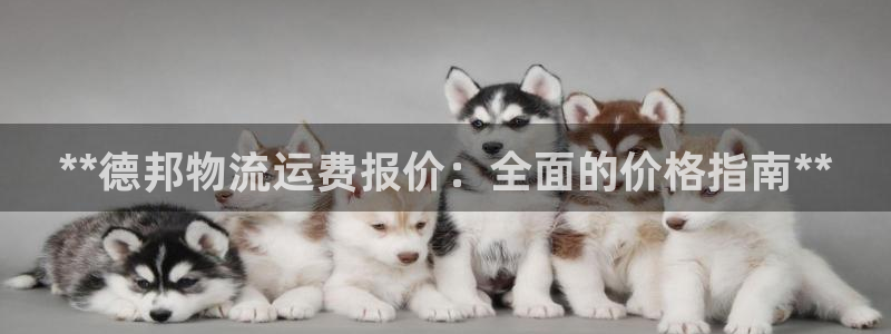 28圈注册链接入口：**德邦物流运费