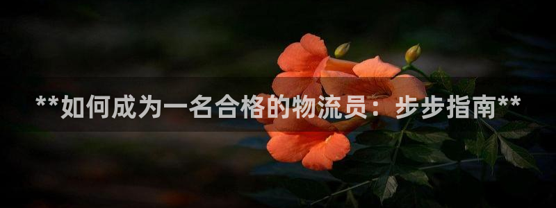 28圈下载体育
