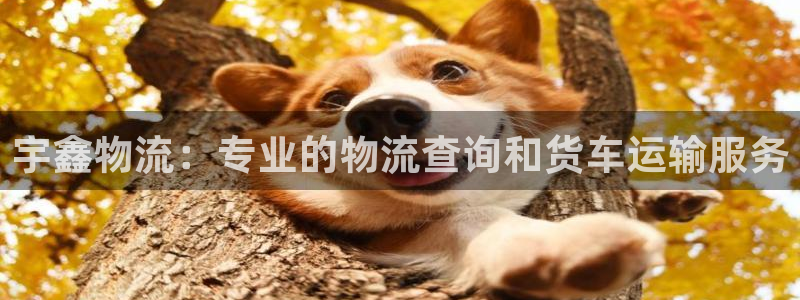 28圈注册链接入口：宇鑫物流：专业的