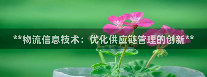 28圈口：**物流信息技术：优化供应