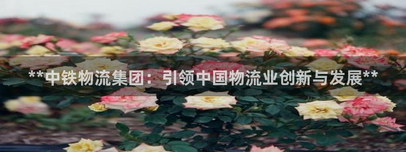28圈.ccmpc预测