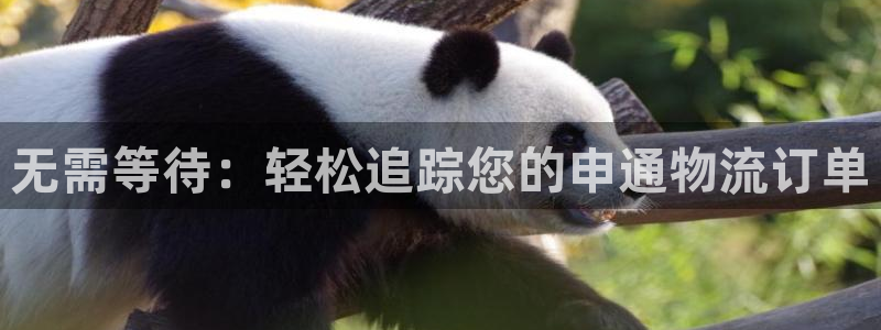 28圈入口问一问