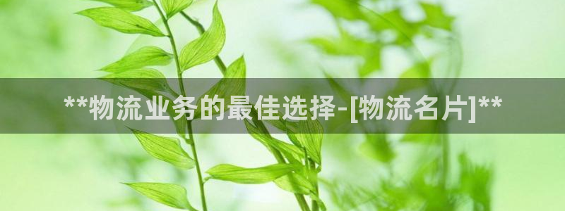 28圈登录用户名登录不上：**物流业