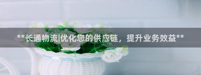 28圈模拟器：**长通物流|优化您的