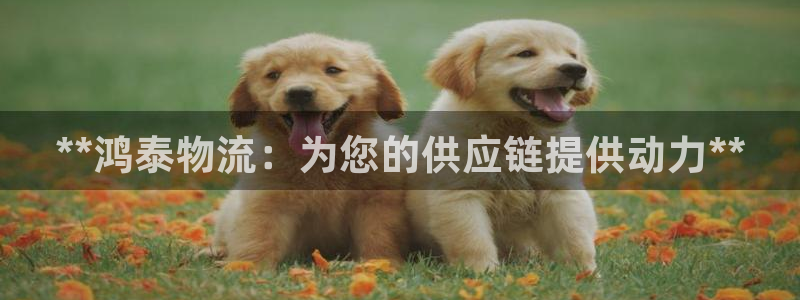 28圈如何看计划