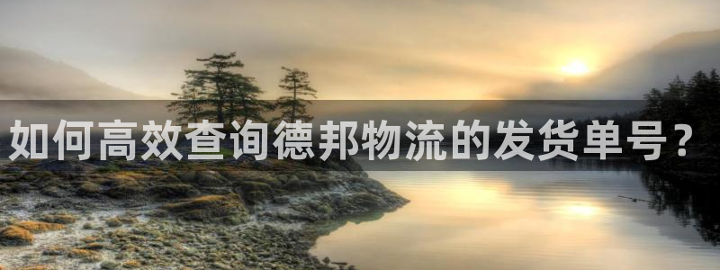 28圈软件有什么用：如何高效查询德邦