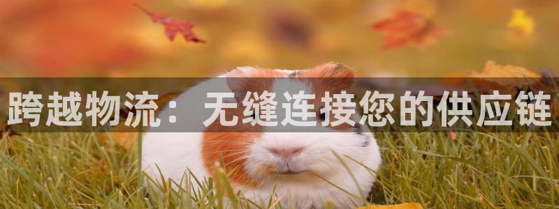28圈注册过了警察知道吗：跨越物流：