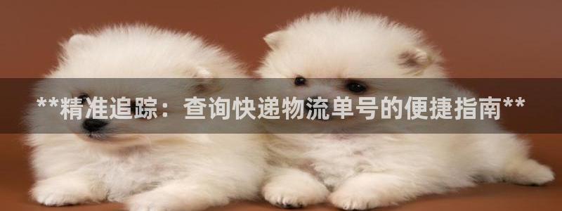 28圈提款一直没到