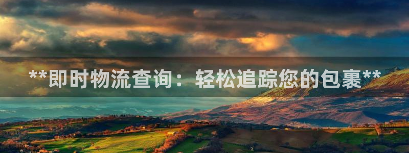 自行车28圈是什么意思：**即时物流