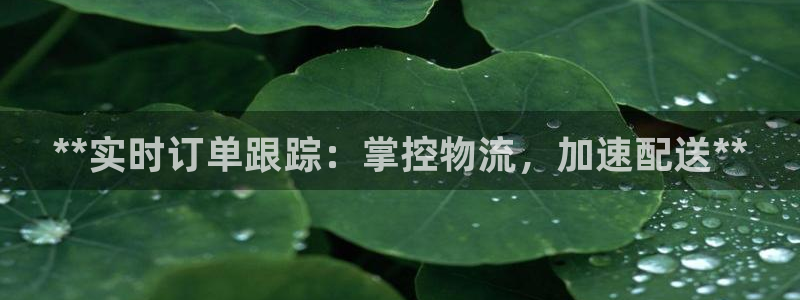 28圈注册：**实时订单跟踪：掌控物