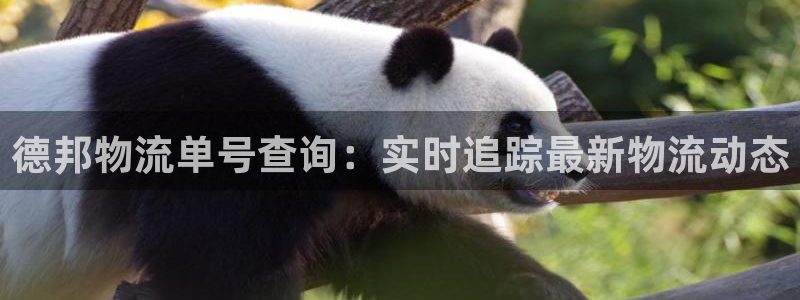 28圈防失联网址