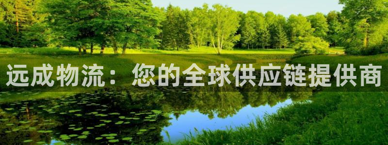 28圈正规吗?：远成物流：您的全球供